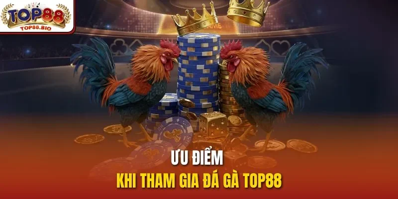 Ưu điểm khi tham gia đá gà Top88